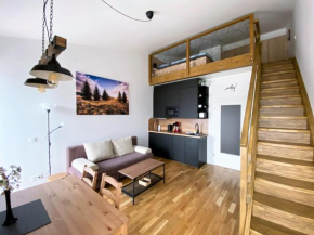 Miky Apartmán Klínovec view